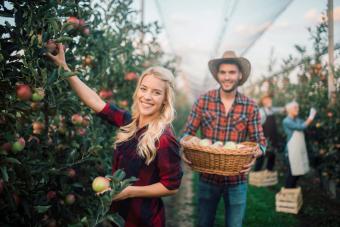 75 Apple Picking Captions for Instagram That Are Apple-solutely Adorable