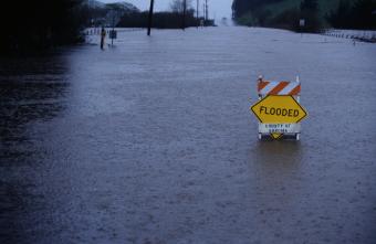 Flood Safety Tips: How to Prepare for a Flood & Stay Safe
