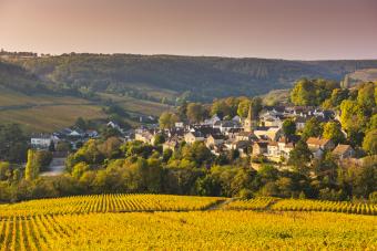 10 French Wine Regions That Make World-Class Wines