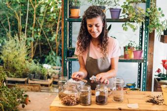 Gardener's Guide to Storing Seeds for Future Use