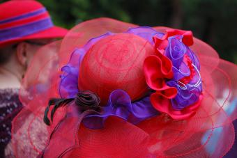 The Red Hat Society: Creating Sisterhood One Hat at a Time