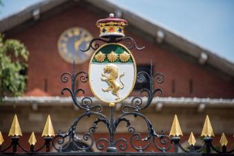 Your Family Coat of Arms: Tips to Find & Use the Symbol
