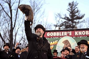 40 Groundhog Day Quotes to Keep You Going for the Next 6 Weeks