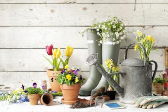 8 Charming & Creative Ways to Use Vintage Watering Cans 