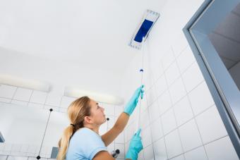 How to Clean Mold From Your Bathroom Ceilings Like a Pro 